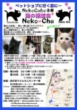 猫の譲渡会