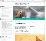 つるみ・猫のカギしっぽ　譲渡会　vol・２