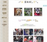 子猫・子犬の里親探し