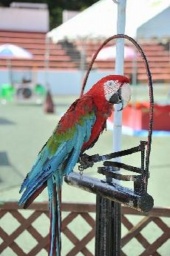 【４/１６（木）～５/１２（火）】移動ジャングル館 & ふれあい動物広場