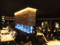 ★　出会い交流社会人 ◆ 2016年3月 北海道 ◆ お勧めイベント情報！！＼(^o^)／　★