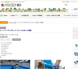 ケープペンギンがやってくる！ふれあい水族館 | ハウスクエア横浜