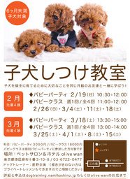 子犬のしつけ教室（パピーパーティ＆パピークラス）！麻布十番