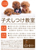 子犬のしつけ教室（パピーパーティ＆パピークラス）！麻布十番