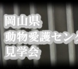 岡山県動物愛護センター見学会