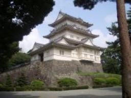 2030代小田原散策婚活パーティー