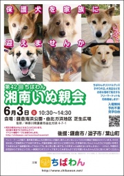 06月03日ちばわん湘南いぬ親会開催のご案内