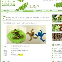 植物のクラフト作り 「アダンでカタツムリを作ろう！アダンでかえるを作ろう！」