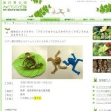 植物のクラフト作り 「アダンでカタツムリを作ろう！アダンでかえるを作ろう！」