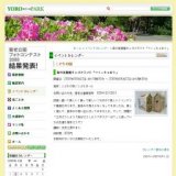 森の美術館キッズクラフト「つくっちゃおう」