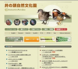 11/2から2/6、水生物館特設展示「井の頭池にまなぶ──身近な水辺の変化」