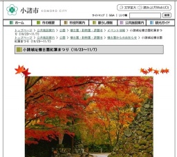 小諸城址懐古園紅葉ライトアップ