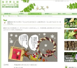 植物のクラフト作り「ミニクリスマスリースを作ろう！ミニタペストリーを作ろう」