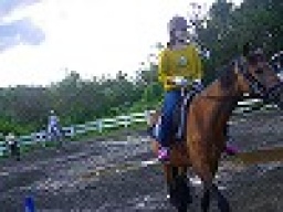 平日イベント　本格乗馬体験　　アウトドア社会人サークルFEAD