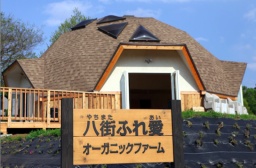 3月11日（日）ジャガイモ植え付け会