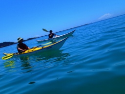 【平日アウトドア 本格シーカヤック体験in湘南】  社会人サークルFEAD