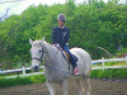 【平日アウトドア!本格 乗馬体験】  社会人サークルFEAD