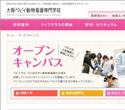 社会人・大学生相談会