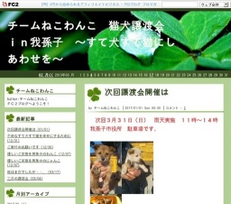 チームねこわんこ　猫犬譲渡会