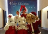 シルバニアファミリーとあそぼう！わくわくステージショー♪ ★クリスマススペシャル★