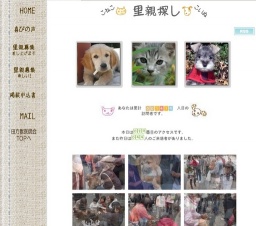 子犬・子猫の里親探し