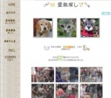 子犬・子猫の里親探し