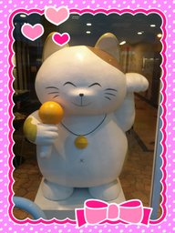 10月25(日)開催カラコンin善通寺参加者募集開始♪