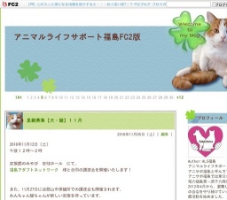 いぬねこ譲渡会