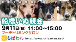 ちばわん『船橋いぬ親会】開催のご案内