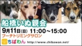 ちばわん『船橋いぬ親会】開催のご案内