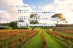 【特別開催】オーガニックワイン会【六本木のナチュラルな会場で】