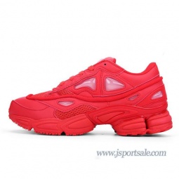 Raf Simons x adidas Consortium Ozweego 2 ラフシモンズ アディダス コンソーシアム S74584 AD...