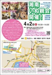 ちばわん湘南いぬ親会（37回）開催のご案内