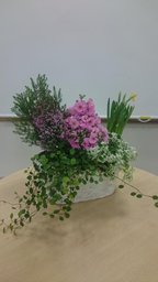 庭園デザイナー石原和幸さんと一緒に作る！春の寄せ植え体験 | ハウスクエア横浜