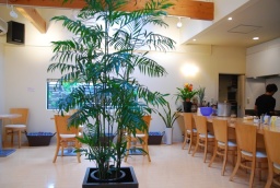 吹田 ラブコンCafeイベント