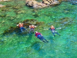 海岸線を突き進め!! コーステアリング (家族向けコース)