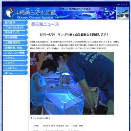 サンゴの卵と幼生観察会を開催します！