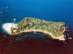 無人島ＢＢＱ＆横浜赤レンガ倉庫散策日帰り合コンバスツアー