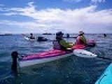 平日イベント　シーカヤック＆シュノーケル　　社会人サークルFEAD