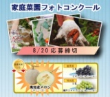 最優秀賞はメロン1箱！家庭菜園フォトコンクール開催中